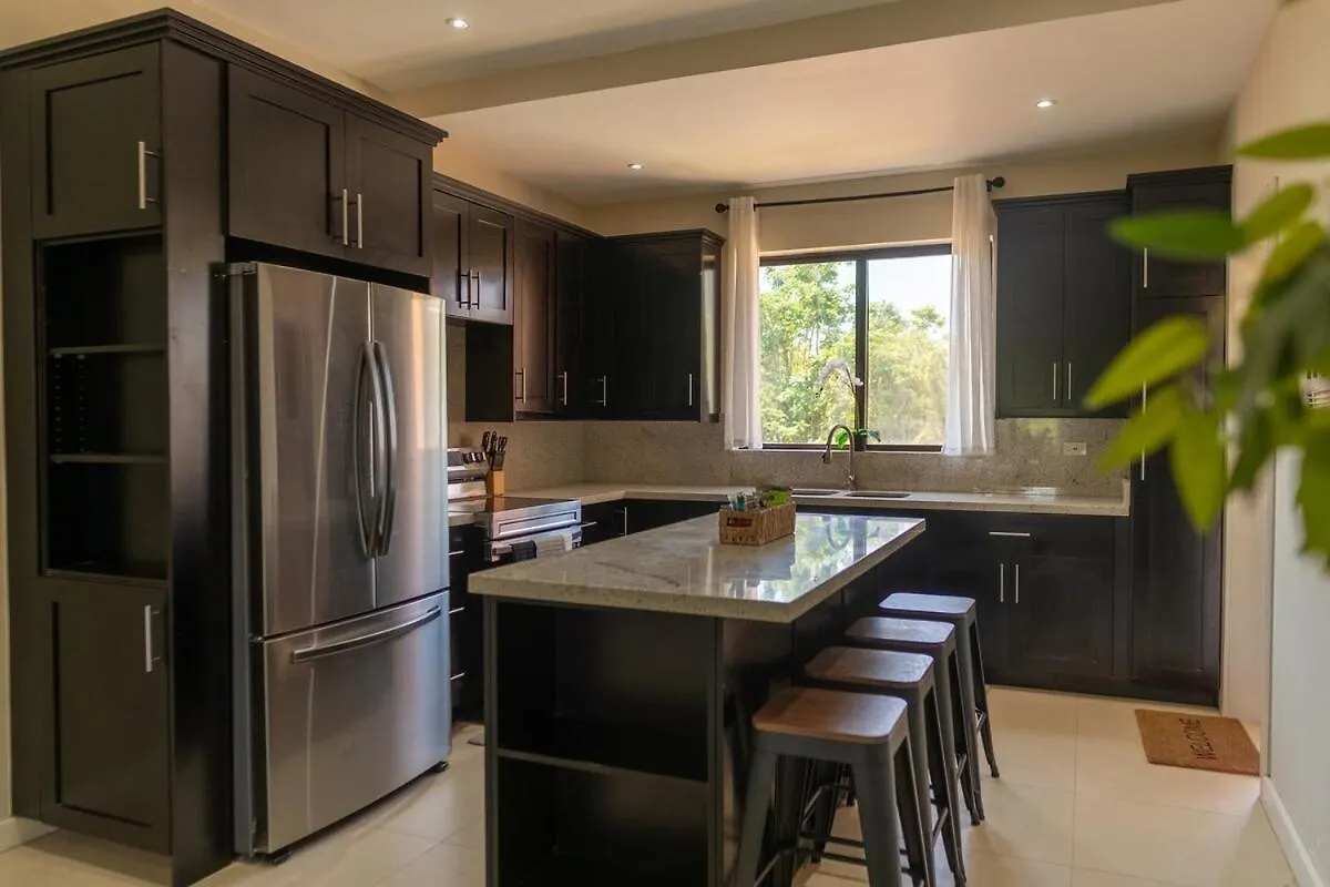 Luxury 2Br Loft - Ocean View Apartment Negril